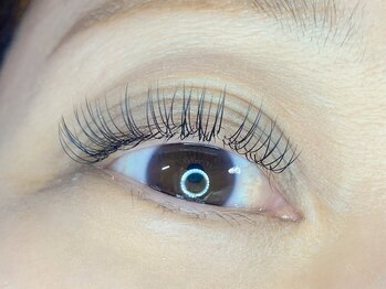 シャイン(shine)/Wフラットラッシュ 60束