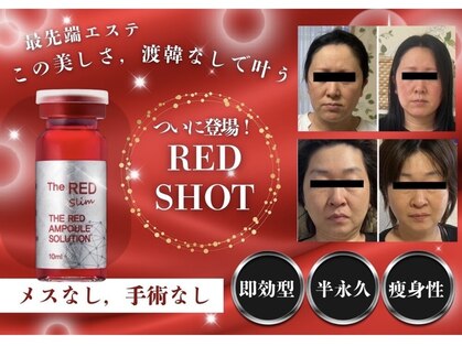 ミント(Mint)の写真