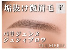 プルメリア 西新店(PLUMERIA)の雰囲気（各種マツエク・まつげパーマだけでなくアイブロウもご用意！）