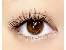 パキラ(Pachira)/濃いめが好きな方は100束～