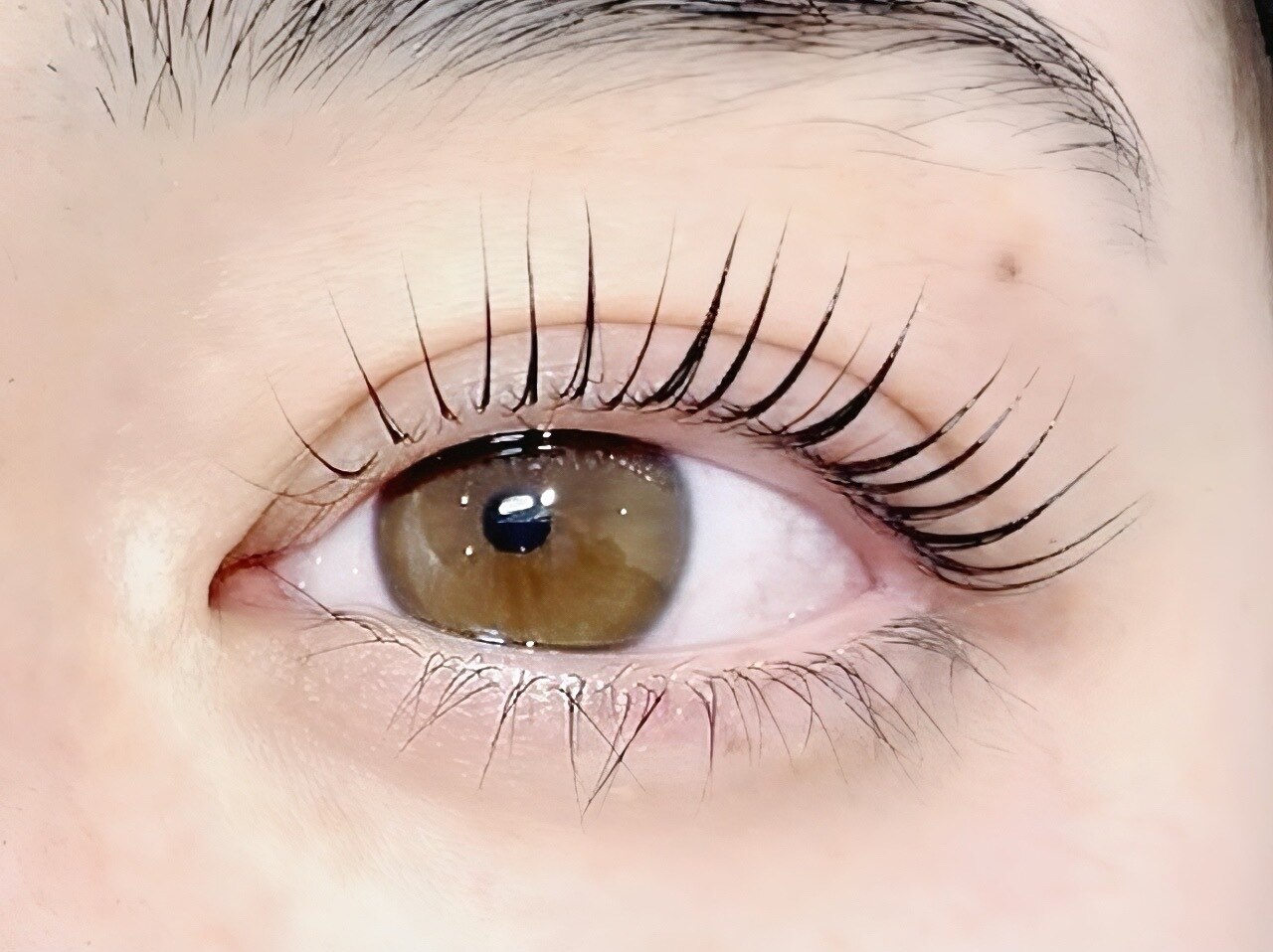 《選べる》ラッシュリフトorパリジェンヌラッシュリフト ￥5900　[横浜]