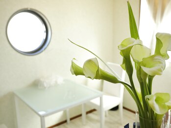 アルム リリー(Arum lily)/Arum lily