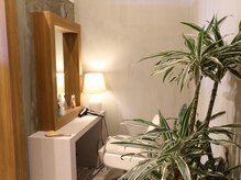 髪染やイロドリ(IRO-D-ORI)の雰囲気（木目や植物を感じる、ナチュラルであたたかい雰囲気の店内です♪）