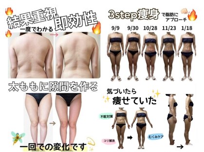 ステラ(stella)の写真
