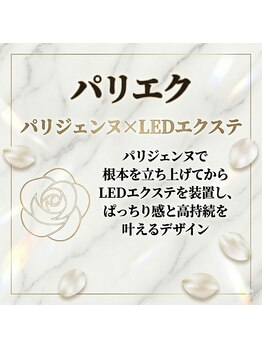 ホワイトカメリア 難波心斎橋店(WhiteCamellia)/