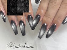 ネイルクロスラニ 練馬店(Nail Lani)/マグネットワンカラー