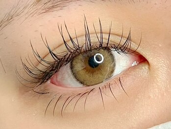 ラヴィアスプラス(LAVIAS+)/上下マツエク/ナチュラル