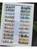 【夏定額ネイル限定】ニュアンスデザイン　プレミアムプラン　￥9000→7500