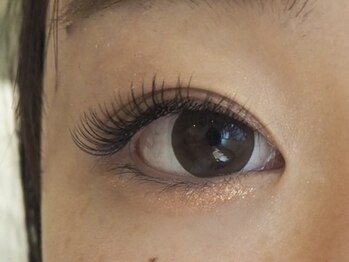 アトリエ カトン(Atelier katong)/