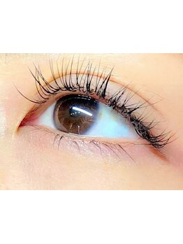 エクステの種類が豊富