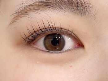 アイクイック 新宿 新宿駅西口店(Ai Quick)/フラットラッシュ/新宿/マツエク