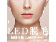 モイス(Moisu)の雰囲気（痛みが少ないのに効果は高い↑メンズ・キッズのお客様多数）