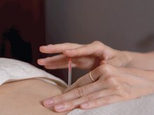 フリージア(Freesia)