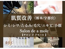 サロンドアモール(Salon de a mole)
