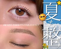 楚々