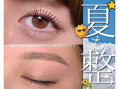 楚々の写真