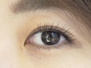 アトリエ カトン(Atelier katong)/