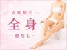 〈女性〉【痛みの少ないスピード美肌脱毛】全身脱毛1回(VIO含む) 15400円
