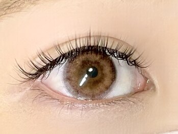 パキラ(Pachira)/ナチュラルな盛れ感♪