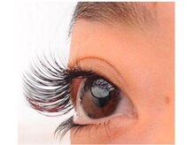 アリエル(Ariel)/フラットラッシュ上下つけ放題