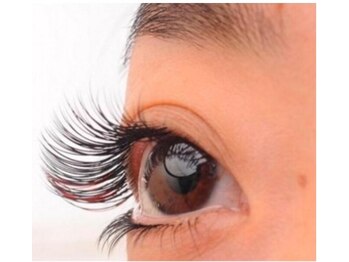 アリエル(Ariel)/フラットラッシュ上下つけ放題