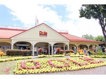 ハワイアンフォレストSpa 福岡天神店/ドール・プランテーション