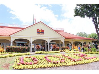ハワイアンフォレストSpa 福岡天神店/ドール・プランテーション