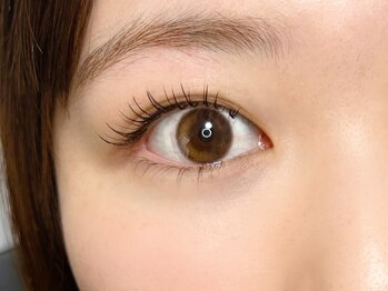 リノ(Lino)/【セットメニュー】