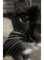エムズアイブロウ 難波店(M’sアイブロウ) 猫大好きです！！