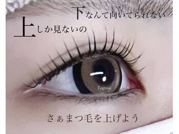ラグーン(Lagoon)/LASH LIFT