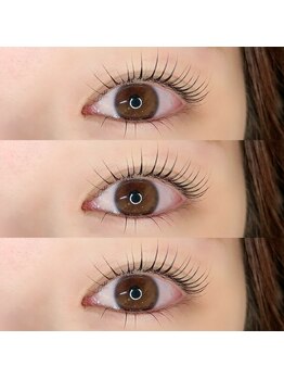 プリズム(PRISM)/ラッシュリフト上下