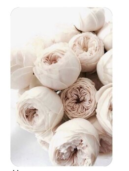 エレストゥ(ERES Tu)/