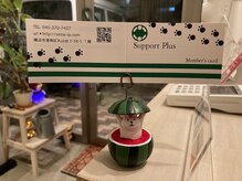 サポートプラス(Support Plus)/