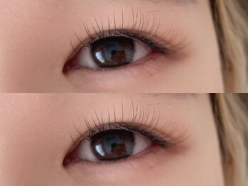 ミミリー(mimily)/フラットラッシュ100本