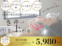 やなけん 亀戸店