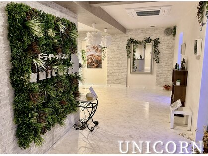 ユニコーン(UNICORN)の写真