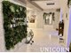 ユニコーン(UNICORN)の写真