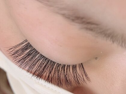 ソレイユ(soleil)の写真