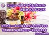 【悩んだら…こちら★】お任せオイルリンパマッサージ【80分】15,000→12,200