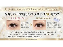 ホワイトカメリア 難波心斎橋店(WhiteCamellia)/