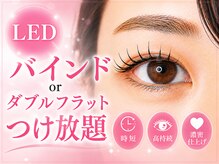モルレーヴ(MOLREVE)