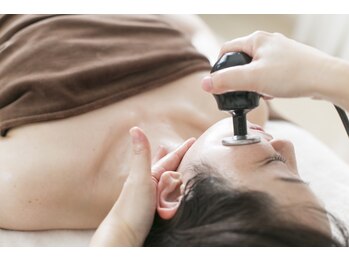 ゆずり葉/高性能ラジオ波（1）深部加温