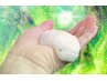 【脳からスッキリrefresh】全身もみほぐし＋炭酸Head Spa 60分¥6600→ ¥5900