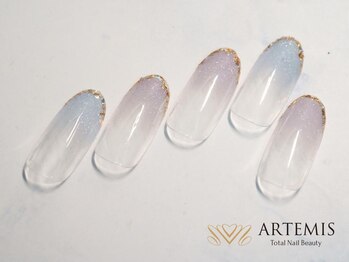 アルテミス(ARTEMIS)/シンプルB 