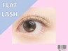 【ナチュラル】自店オフ無料◆【フラットラッシュ100本】