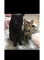 ネイルアイラッシュサロン ジョアアンジェ 難波店(joie ange) 猫ちゃん2匹と3人暮らしです!黒猫がネオでキジトラはモフです