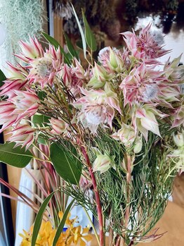 わたなべ整体院/