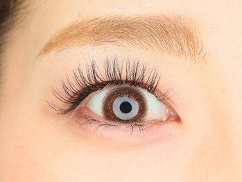 シュガー ラッシュ(Sugar lush)/ボリュームラッシュ