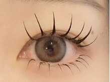 プラスエリマ 四日市(Plus Elima)/LEDエクステ 四日市