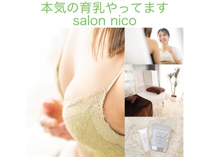 ニコ(nico)の写真